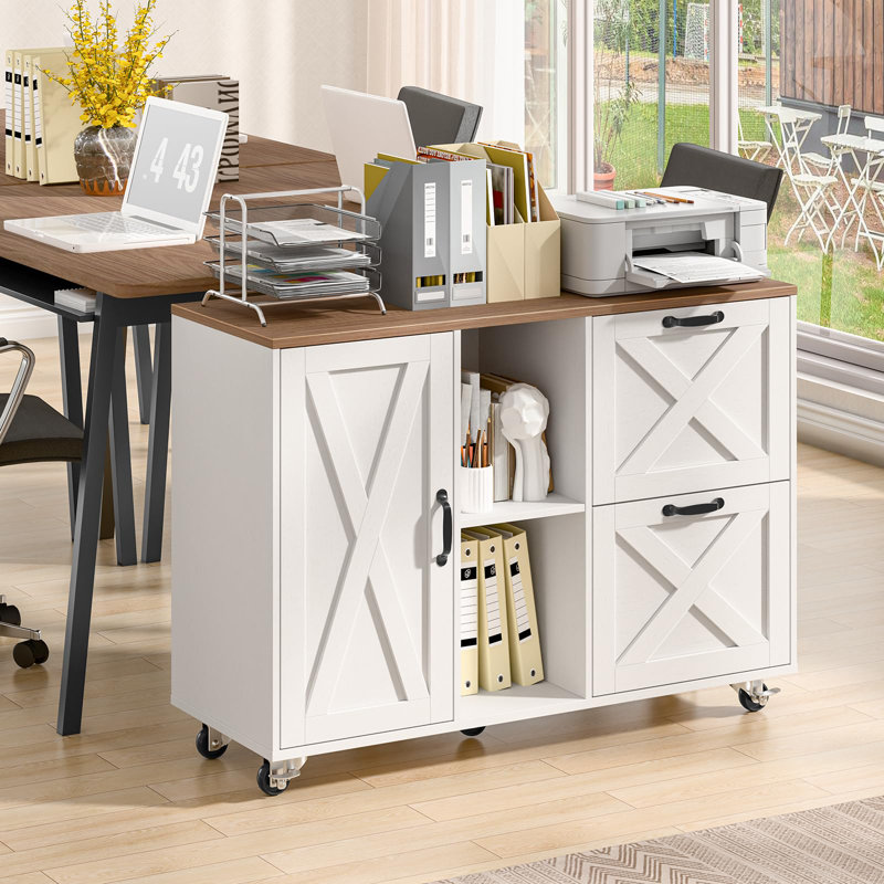 Lateral File Cabinet With 2 Drawers And Door
