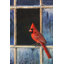 " Cardinal Window "