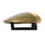 Heurtoir de porte Surf Clam
