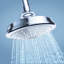 Euphoria® Rustic Adjustable Shower Head