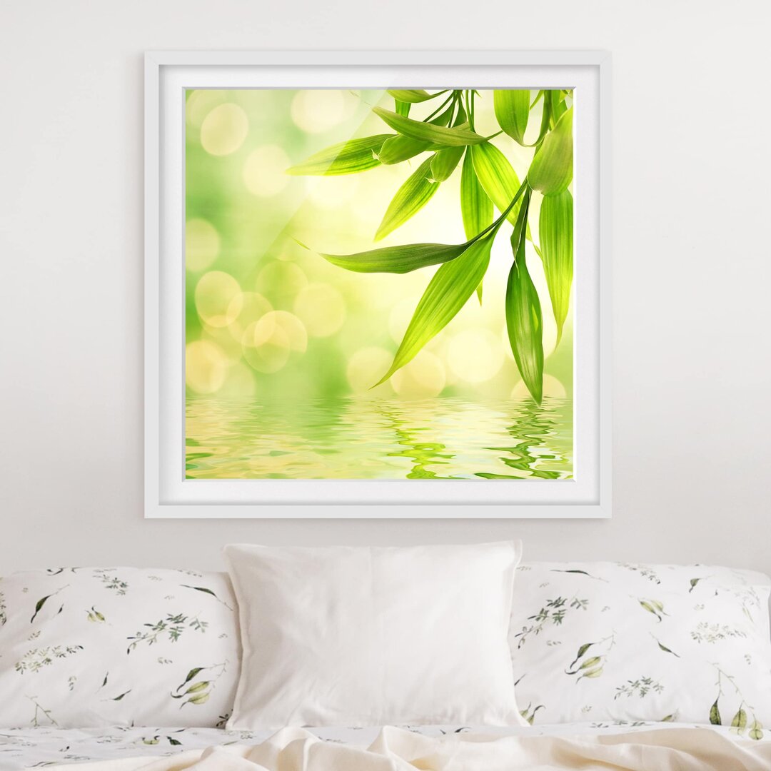 Gerahmtes Poster Green Ambience I