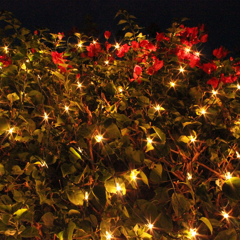 2 Pack 100 Warm White Christmas Net Lights
