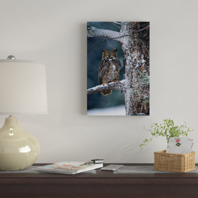 " Great Horned Owl Perched In Tree Dusted With Snow, British Columbia, Canada I " by Tim Fitzharris