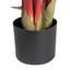 160cm Plant