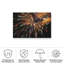 Feux d'artifice abstrait bolologique 2020 2-98081686
