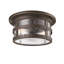 Barbosa 2 - Light Flush Mount