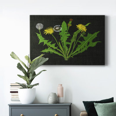 " Wild Dandelion I "