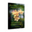 «Blessed Be The God and Father 2 Corinthians 1: 3-4», décoration murale chrétienne-2024964885