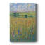 Chemin Wildflower I - galerie sur mesure-1486489705