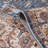 Oriental Indoor Rug-1560701069
