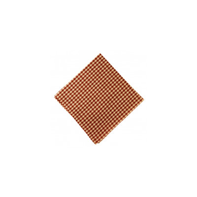 Villasenor Cotton Gingham Square Napkin