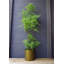 150cm Faux Plant in Pot Liner