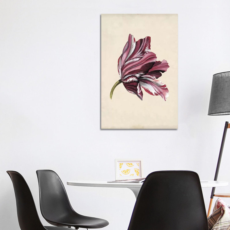 Antique Tulip Study III by Naomi McCavitt - Wrapped Canvas Gallery-Wrapped Canvas Giclée, 101.6 cm H x 66.04 cm W x 1.91 cm D