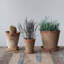 Pot à fleurs rond en ciment avec soucoupe Hillengas-1651515897