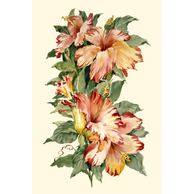 Hibiscus II by Joy Waldman - Wrapped Canvas Print