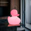 The Duck Duck Lamp XL rose-125499948-125499944