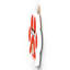 Gruia Wall Decor