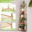 Bamboo