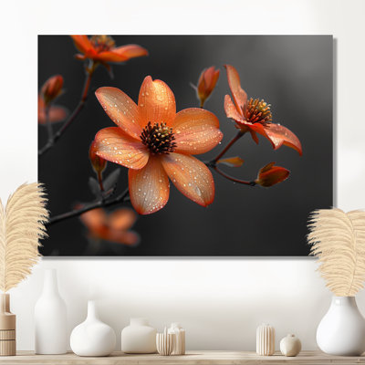 Fleur d'été cornouiller monochrome orange noir II - cornouiller