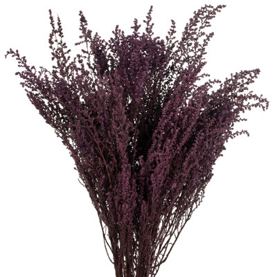 All Natural Stoebe Bundle, Preserved 14"-18" Stoebe Bundle, Preserved