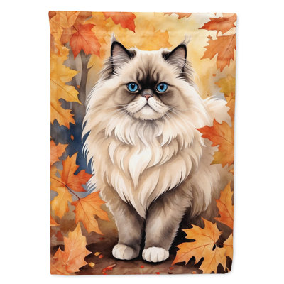 Chat en feuilles d'automne