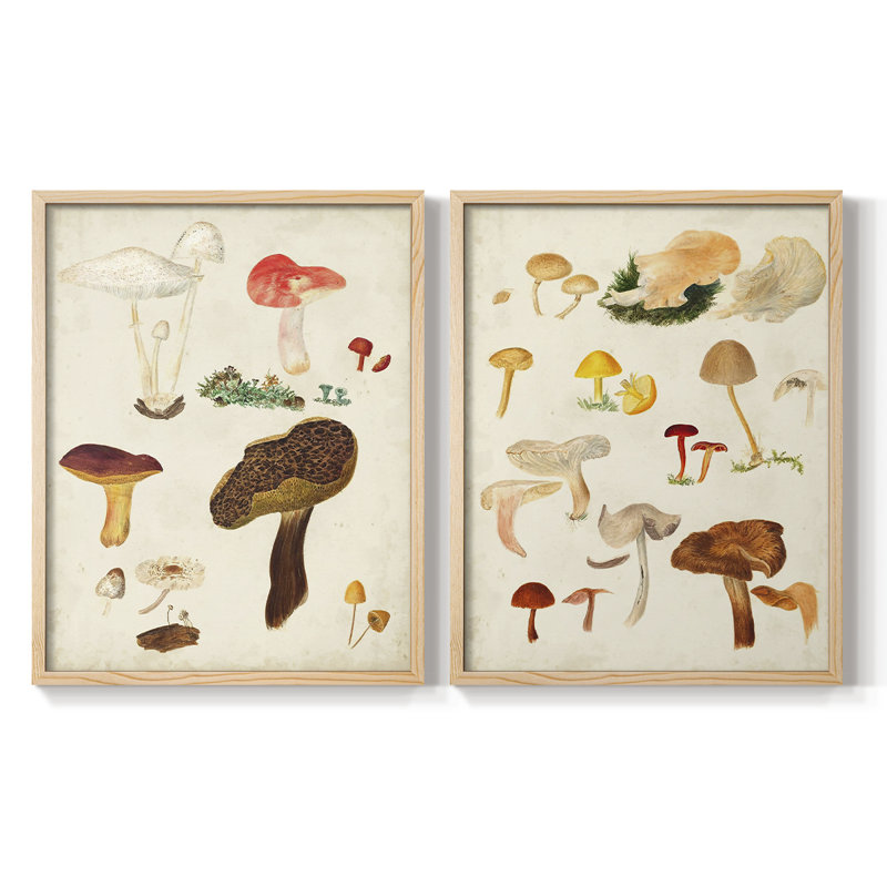 Reproduction encadrée de champignon de qualité supérieure - prêt à accrocher - aucun clou requis, Bois naturel