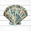 « aquarelle shells iv », reproduction d’art sur bois blanc-18829465