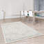 Tapis oriental argenté Hazelton-106796768
