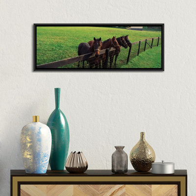 Quatre chevaux debout près de la clôture, Baltimore County, Maryland, États-Unis par Panoramic Images - reproduction de photo sur toile non encadrée