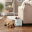 Pet Storage Collection Paw And Bone Print, Small Rectangle