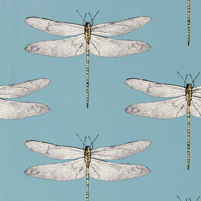 Demoiselle