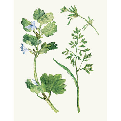 Bright Green Botanicals - reproduction d'art sur toile tendue