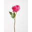 Fiori Peony Arrangement