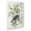 American Crow by John Audubon - Wrapped Canvas-55368642