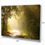 «Bright Sunlight in Fall Forest», reproduction de photo sur toile tendue-18435122
