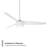 Ferris 3-Blade Outdoor/Indoor Smart Ceiling Fan with 2700K-3000K-3500K-4000K-5000K Color Temperature LED Light Kit and Remote Control Included, Works With Google Assistant, Amazon Alexa, Samsung Smart Things-125304450
