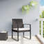 Red Barrel Studio Patio Dining Chairs 2 Pcs Brown PP Rattan-147960962-147960960