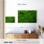 Corail vert Brampt-107847192