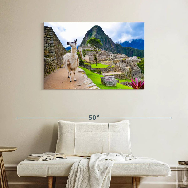 Brampt Peru Llama, 26" H x 39" W