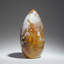 Polished Ocean Jasper from Madagascar (3.9 Lbs)
