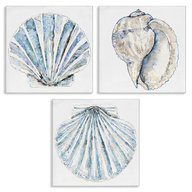 "Clam & Conch Watercolors", ensemble de 3 toiles murales par Christine Zalewski