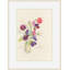 Vase Of Sweet Peas 1 Print-229661733