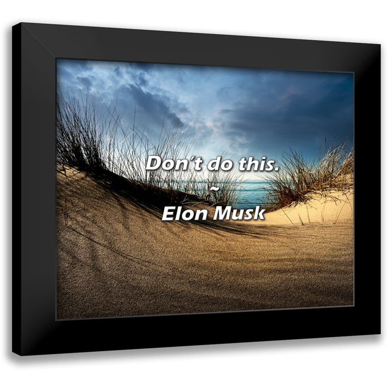 Citation Elon Musk: ne faites pas cela.