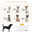 Pet Bed