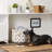 Tucker Murphy Pet™ Fabric Decorative Bin-261676883
