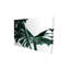 Toile exotique verte Monstera Deliciosa | Décoration florale