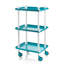 Zeigler Serving Cart-121165252-121165255