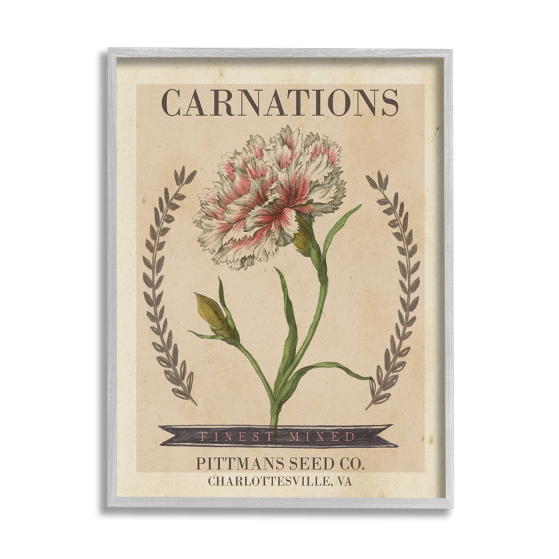 Finest Mixed Carnations Antique Floral Seed Packet by Studio W - Painting on Canvas, Farmhouse Grey Framed Giclee