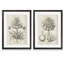 «Fresco Crown Imperial II», ensemble de 2 reproductions d'art encadrées-1448787858-1448787868-1448787870