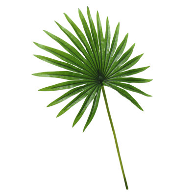 Artificial Fan Palm Leaf Plant